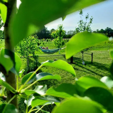 Semesterbostad Sunny Funny House *