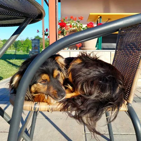 Semesterbostad Sunny Funny House Čačak