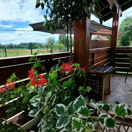 Sunny Funny House Čačak