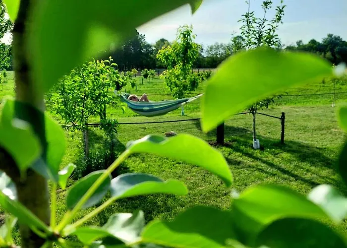 Dom wakacyjny Sunny Funny House *