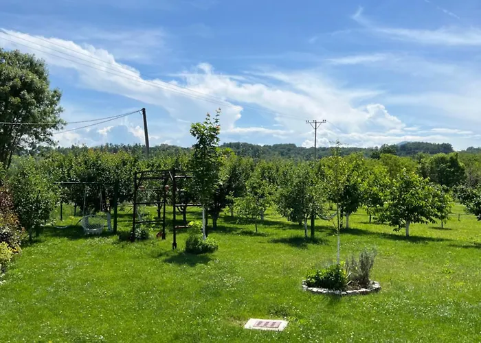 Sunny Funny House Dom wakacyjny